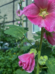 Similar image 22073952