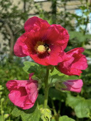 Similar image 22073953