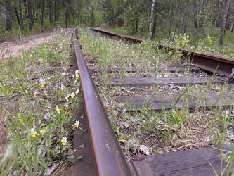 Similar image 22073954