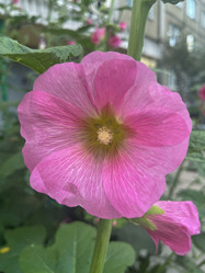 Similar image 22073955