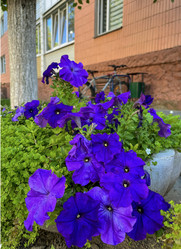 Similar image 22073958