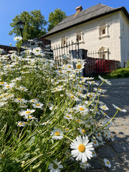 Similar image 22073960