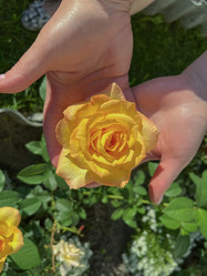 Similar image 22073963