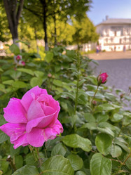 Similar image 22070311