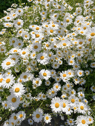 Similar image 22070312