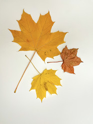 Similar image 22071293