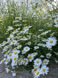 Similar image 22071294