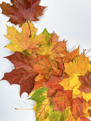 Similar image 22071297