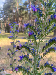 Similar image 22071298