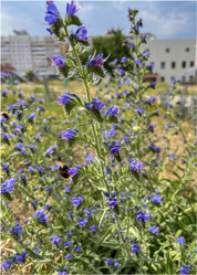 Similar image 22071299