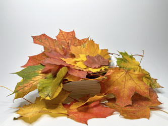 Similar image 22071300