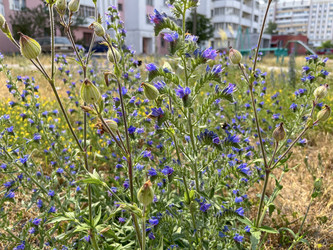 Similar image 22071301