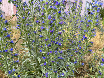 Similar image 22071303