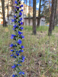 Similar image 22071307