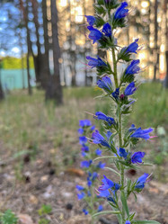 Similar image 22071309