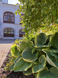 Similar image 22071315