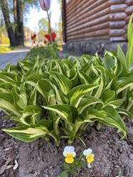 Similar image 22071462