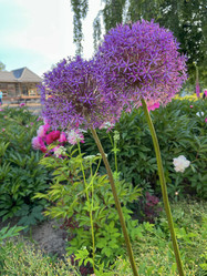 Similar image 22071463