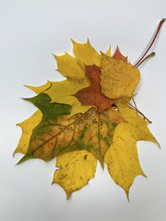 Similar image 22071464