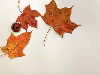 Similar image 22071481