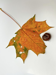 Similar image 22072077