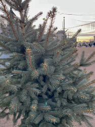 Similar image 22072079