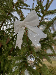 Similar image 22072081