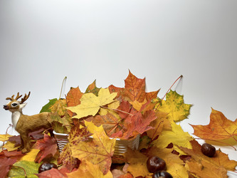 Similar image 22072082