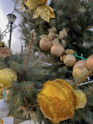 Similar image 22072083