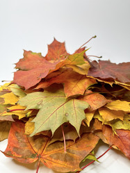 Similar image 22072225