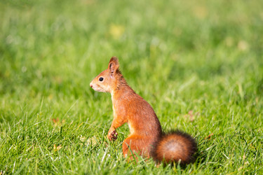 Similar image 22060434