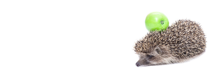 Similar image 22060435