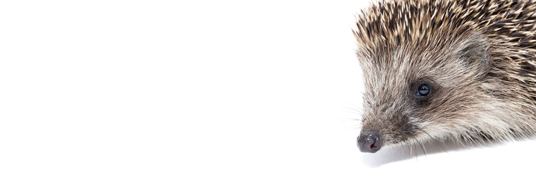 Similar image 22060438