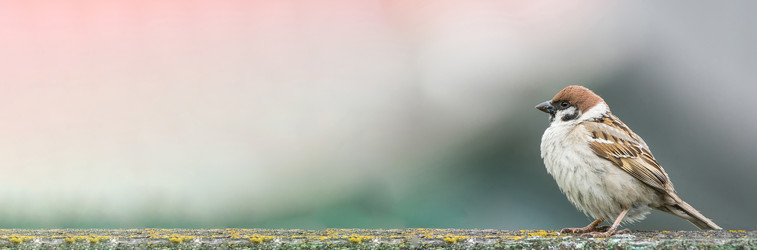 Similar image 22060454