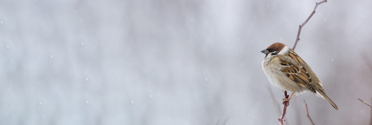 Similar image 22060456