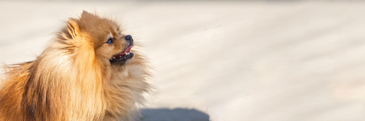 Similar image 22060461