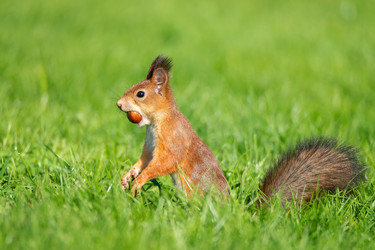 Similar image 22060472