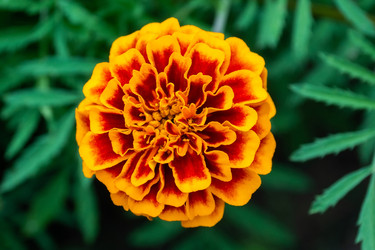 Similar image 22060474