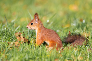 Similar image 22060476