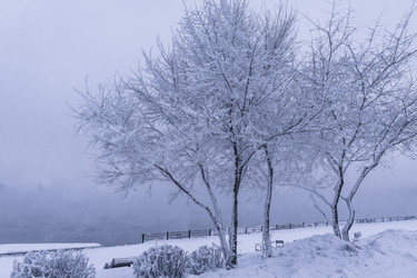 Similar image 22062133