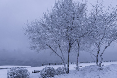 Similar image 22062135