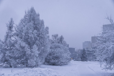 Similar image 22062139