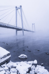 Similar image 22062140