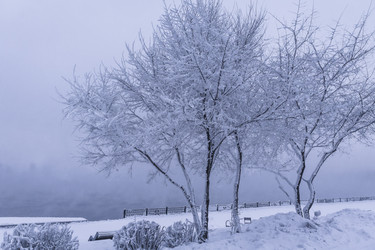 Similar image 22062144