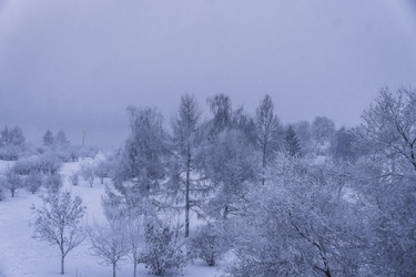 Similar image 22062146