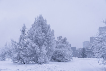 Similar image 22062148