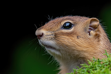 Similar image 22077735