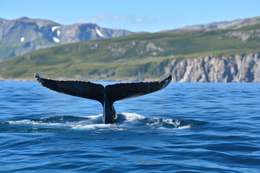 Similar image 22087373