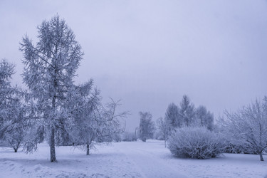 Similar image 22062154