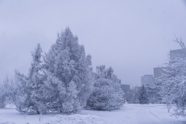 Similar image 22062155